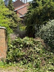 Loose garden waste/trimmings. Looking to get a quote to collect loose garden waste and trimmings. SW6 - removed for £150