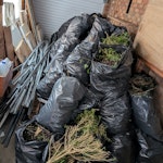 DYI waste Carpets, Underlay, Wood chip ceiling tiles, composite ceiling tiles, wood, light metal framing from the ceiling, and some bushes bagged. LU5 - removed for £320
