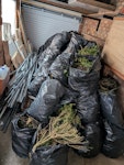 DYI waste Carpets, Underlay, Wood chip ceiling tiles, composite ceiling tiles, wood, light metal framing from the ceiling, and some bushes bagged. LU5 - removed for £320