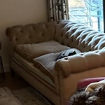 2 seater sofa Old two seater sofa for removal - not fit for resale or charity TN13 - removed for £80
