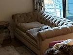 2 seater sofa Old two seater sofa for removal - not fit for resale or charity TN13 - removed for £80