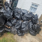 100 bags for tree branches 100 bags of garden waste made up for branches from a cut down tree. Bagged in black bags in the back garden. Can be moved to the front for easy access and for collection. N16 - removed for £180