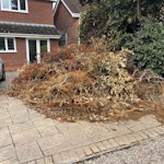 garden waste cuttings of shrubs, trees and general garden waste. all in the front on the drive ready for collection WV8 - removed for £260