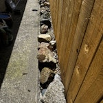 Decorative stone These are decorative stones that would look good in almost any garden. Most are easily handled, one or two bigger ones that need a bit of umph! TR18 - removed for £120