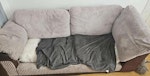 Just 2 setter settee Just 1 steam to take to skip DL4 - removed for £40
