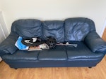 Three Seater & two seater sofa One blue three seater sofa and one two seater sofa. Possibly reusable. TN14 - removed for £120
