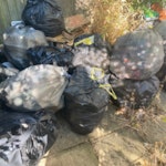 16 black bags of general waste 16 black bags of non re-usable general waste CO1 - removed for £60