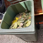 Garden waste : fallen tree Fallen tree, trunk, branches and foliage chopped up, filling three 240L council wheelie bins. NW2 - removed for £95