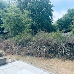 Garden waste Garden waste, Leaves and small branches CM15 - removed for £400
