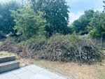 Garden waste Garden waste, Leaves and small branches CM15 - removed for £400