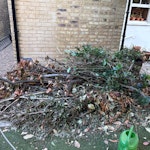 Big pile of branches& 12 bags Branches are at back of house, but easy access via side gate and can park on drive E7 - removed for £200