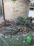 Big pile of branches& 12 bags Branches are at back of house, but easy access via side gate and can park on drive E7 - removed for £200