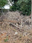 Garden Rubbish Dry branches in a pile from last year gardening to be cleared as in the photo. 1 long log and 1 tree stump. Another pile from recent gardening Gate on the side. Easy access. DA4 - removed for £175