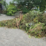 Garden waste Garden waste as per photos AL1 - removed for £180