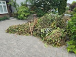 Garden waste Garden waste as per photos AL1 - removed for £120