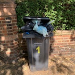 rubbish general waste NW3 - removed for £55