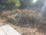 Garden waste Garden waste, small branches and leaves CM15 - removed for £340