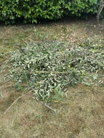 Green waste & rubbish removal collected by waste management group