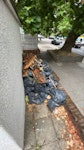 circa60 bags pavers and wooden around 60 rubble bags of garden waste and builders waste. 2 wooden pallet boxes, some paving stones and some wood waste SE23 - removed for £400