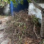 Garden Waste Garden waste from cutting back overgrowth. Will put it into bin bags out the front of the house for easy collection N1 - removed for £90
