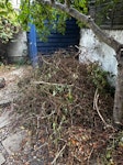 Garden Waste Garden waste from cutting back overgrowth. Will put it into bin bags out the front of the house for easy collection N1 - removed for £90