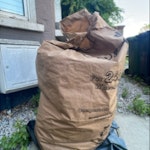 Bag of garden waste Garden clippings and grass SE4 - removed for £25