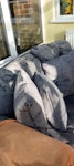 One 2 seater sofa One old 2 seater sofa needs carrying from conservatory GU21 - removed for £95