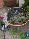 Assortment of waste 2 x old small bins (one contains rubble, one has general waste) 
1 x fire pit with old logs (potentially reusable)
1 x wheel barrow
4 x Spare roof tiles/slates 
4 x thin lengths of wood (about 7m long) M6 - removed for £80