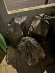 3 rubbish + 5 boxes recycling 3 large bags of rubbish and 5 varied sized boxes of recycling E11 - removed for £50