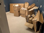 Cardboard and Paper Collection of cardboard/paper from house move. All recyclable. Can be put on curb for quick pick up. NW3 - removed for £100