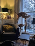 arm chair, cat tree, cat bed Blue ikea arm chair, would need repair on covering. Cat tree and cat bed in good condition. Parking paid for outside, need to pick up from 1st floor N1 - removed for £65