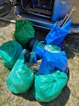 Leaf litter and plastic pots 7 bags of leaf litter, woody plant stems, and plastic pots SW9 - removed for £80