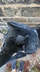 Scrap from roof and carpet Five bags of scrap metal and roof material left by contractors after a roof repair. Bags are a little split, so caution needed. Also an old carpet which doesn’t look reusable. SE26 - removed for £40