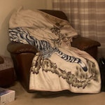 Recliner chair Just one recliner, pretty straightforward RG40 - removed for £80
