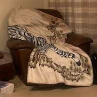 Recliner chair collected by Rubbish Clear Away