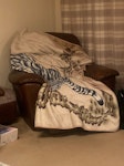 Recliner chair Just one recliner, pretty straightforward RG40 - removed for £80