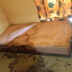 Soda, mattress and single bed Needs to be taken to the tip, not reusable CT1 - removed for £200