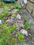 Rockery, soil and rocks, Garden rockery, lots of soil and rocks, nothing is bagged, you will need to remove it as it is in the picture. BD6 - removed for £220