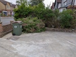Garden waste It's from our hedge that has been trimmed SM6 - removed for £90