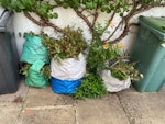 garden waste garden waste NW5 - removed for £80