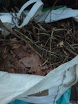 garden waste SW19 - removed for £80