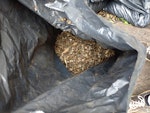 97 bags of gravel 97 50 litre bags of gravel. Each bag is half full. To be collected from front garden. If cleaned, the gravel could be re-used for a garden project, eg a path or driveway SW17 - removed for £330