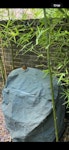 Garden Furniture & BBQ 1 x Gas BBQ in working order 
2 x glass outdoor tables 
Various garden chairs 
Portable gazebo 
1 x broken dining chair 
1 x packaged toddler tower (defective) WC1N - removed for £100