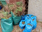 Garden waste 3 x large garden waste bags, c 20-30kg each
7 x rubble bags with garden waste, c. 20kg each
1 x old garden waste bin, full of dirt
Van can be driven right next to waste. HA5 - removed for £120