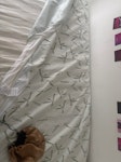Single mattress with Just a single mattress - can no longer be used as my daughter has stained it. It will be put in a bag so it is easier to collect DA1 - removed for £30