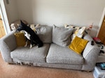 3 seater sofa and armchair. Both have bad wear and tear damage so probably can't be reused. Apologies for photo with dog in it. LS5 - removed for £125