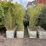 5 planter boxes & old ikea 5 identical bamboo planter boxes (four shown, one extra out of shot but identical), each 1.5m x 0.5m x 0.5m. Will cut all bamboo down to the level of the soil like the one on the right. plus one disassembled Ikea wardrobe unit. TW2 - removed for £165