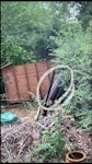 8x8 ft shed demo mix waste 8x8ft shed demo - mix of rubble (minimal), timber, plastic sheeting, metal poles - still require time to pile waste timber and break up rubble sufficiently ready for collection as reflected in photos AL7 - removed for £190