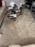Rug: 5ftx7Ft It's a shaggy IKeA rug. It will be outside the house: photo is of it in living room as  haven't moved it yet. It would be reusable if someone wanted to trim the moth eaten bit off W4 - removed for £35