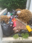 2,5 m3 mainly garden waste mainly garden waste, plants but also builder waste, around 2 - 2,5m3 SE27 - removed for £170